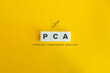 PCA (Principal Component Analysis) banner and concept. Block letters on bright orange background. Minimal aesthetics.