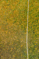 Poster - Miory District, Vitebsk Region, Belarus. The Yelnya Swamp. Aerial View Of Yelnya Nature Reserve Landscape. Narrow Wooden Hiking Trail Winding Through Marsh. Cognitive Boardwalk Trail Over A Wetland