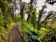 Breathtaking nature landscape scenery inside tropical lush rainforest or jungle with tall trees, beautiful flowers in garden eden paradise inside Akaka Falls State Park, Hawaii
