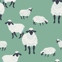 Cute Seamless Pattern With White Sheep On Field.