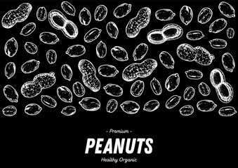 Wall Mural - Peanuts hand drawn sketch. Nuts vector illustration. Organic healthy food. Great for packaging design. Engraved style. Black and white color.