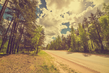 Wall Mural - Suburban road passing through the forest illuminated by the sun, the car goes. View from the side of the road