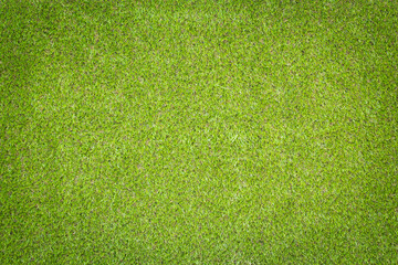 Canvas Print - grass texture for background