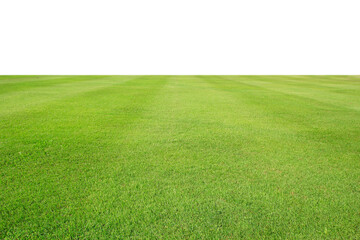 Wall Mural - fresh green grass lawn isolated on white background