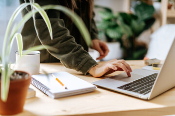 Close up oh Freelance woman hands typing at laptop and working from home office with plants. Cropped girl on workplace at the desk. Distance learning online education and work.