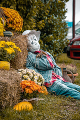 Canvas Print - Cute happy scarecrow and fall decorations for thanksgiving