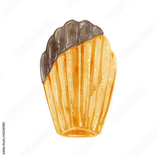 洋菓子マドレーヌの手描き水彩風イラスト Vector De Stock Adobe Stock