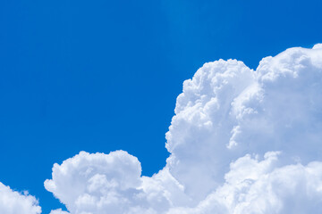 Wall Mural - white fluffy clouds on blue sky. soft touch feeling like cotton. white puffy cloudscape with space f
