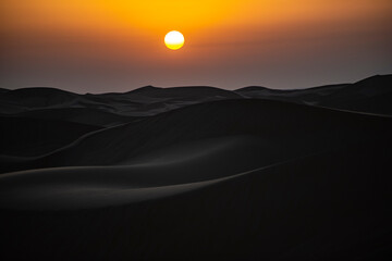 Wall Mural - Desert