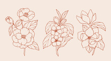 Set Of Hand Drawn Camellia, Apple Blossom, Magnolia