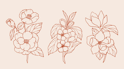 Set of hand drawn camellia, apple blossom, magnolia