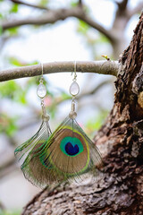 Wall Mural - Peacock feather earrings with mineral bead hanging in nature