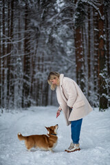 Wall Mural - Young blonde female is playing with her welsh corgi pembroke in a winter snowy forest