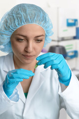 Wall Mural - Pharma female tech works in laboratory. Caucasian, european woman, young adult in protective gloves, hat and white gown handles sample tube. Defocused lab interior, selective focus. Biotech research.