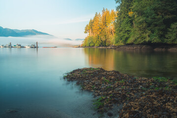 Wall Mural - Calm, idyllic golden sunset or sunrise light over seascape shore and landscape of Port Renfrew Marina in the pacific northwest on Vancouver Island, BC, Canada.