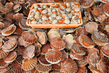 Fresh Scallops on a seafood market at Dieppe France