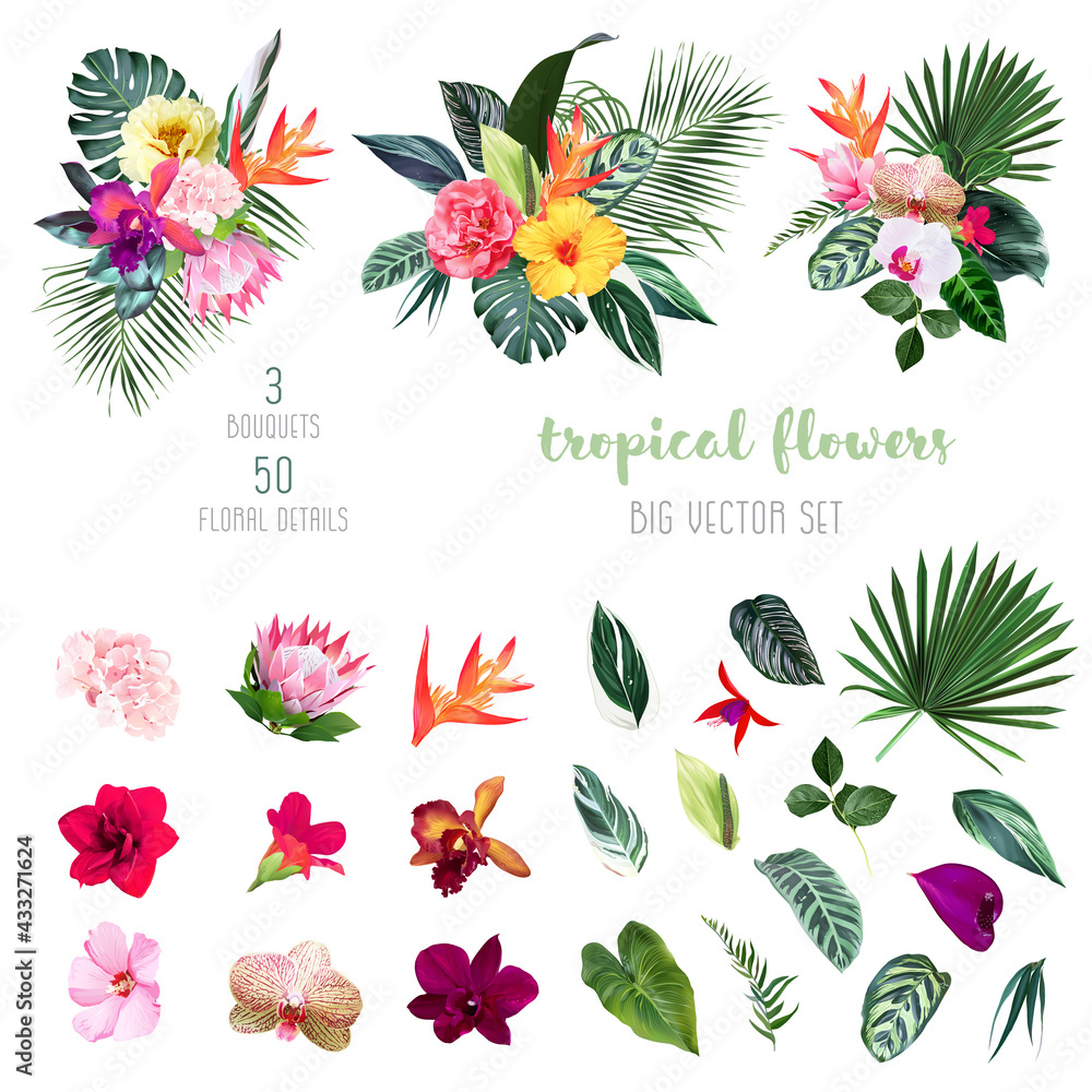 Exotic tropical flowers, orchid, strelitzia, hibiscus, protea, anthurium, palm, monstera - obrazy, fototapety, plakaty 