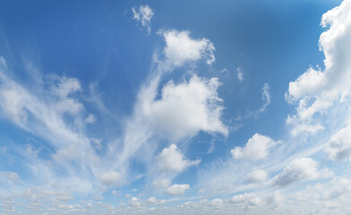 Wall Mural - blue sky with white clouds over southwest florida usa