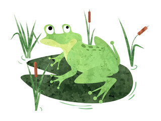 Wall Mural - Cartoon Frog sitting on lily pad. Vector watercolor illustration.