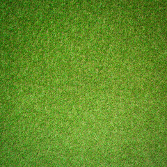 Wall Mural - artificial grass texture for background 