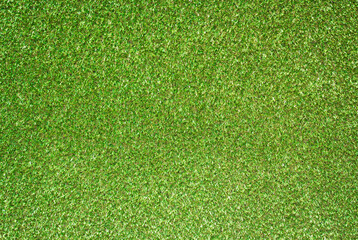Canvas Print - artificial grass texture for background