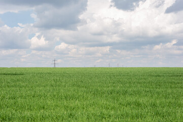 high voltage poles in a field of green grass, against a background of a cloudy blue sky