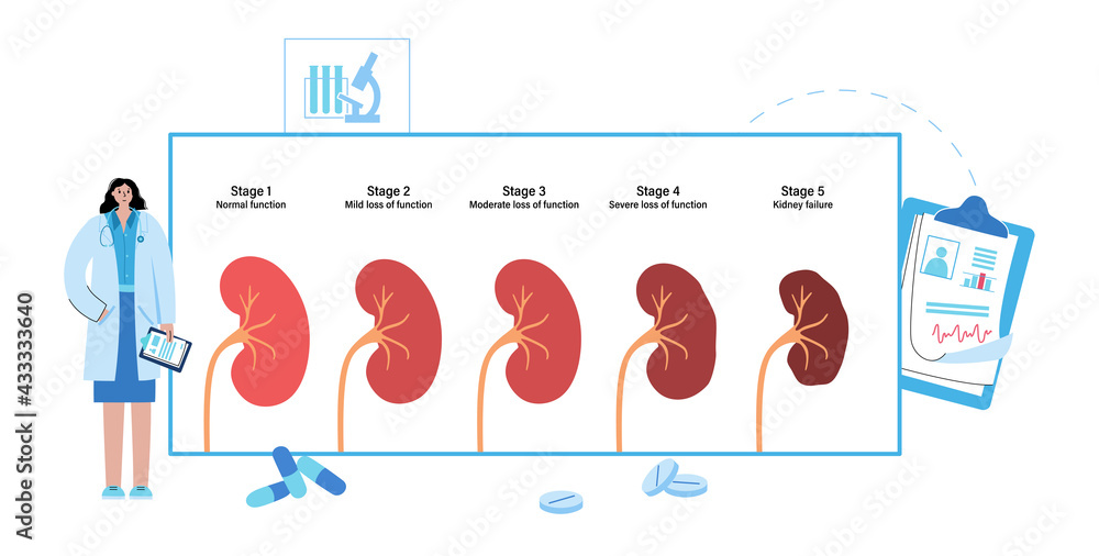 Kidney disease concept Stock Vector | Adobe Stock