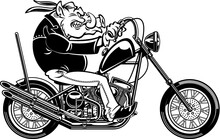 Wild Hog Riding Motorcycle