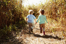 Boy And Girl Holding Hands In Field With Crops