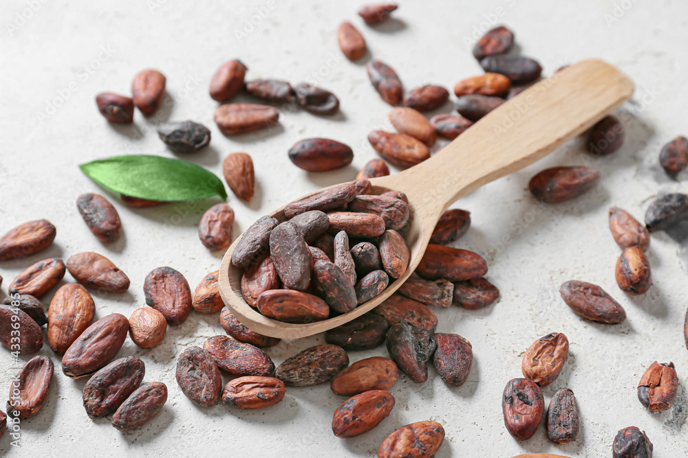Wooden spoon with cocoa beans on light background