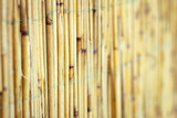 Fototapeta Sypialnia - A Beautiful reed fence wall on pyrode background