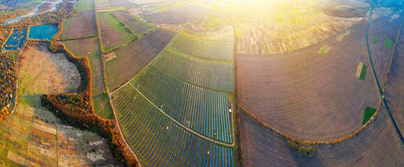 Wall Mural - Solar panels of Ukraine