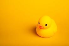 Yellow Rubber Duck Cute Toy Put On The Floor
