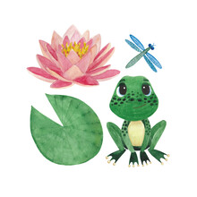 A Set Of Watercolor Illustrations With Lotus Leaves And Flowers, A Frog And A Dragonfly