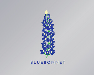 BlueBonnet Vector