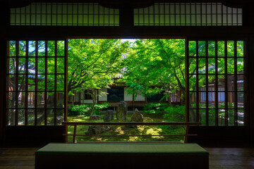 Wall Mural - 京都　建仁寺　潮音庭（ちょうおんてい）の新緑