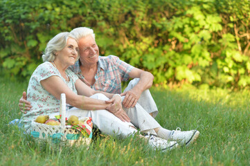 Sticker - Loving elderly couple having a picnic