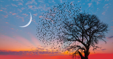 Aufkleber - Silhouette of birds with lone tree in the background big crescent moon at amazing sunset