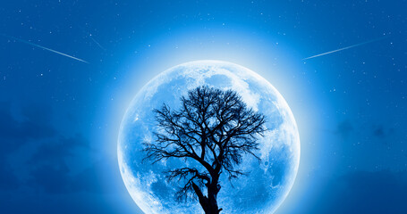 Aufkleber - Lone dead tree with super full blue Moon 