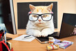 Cat with glasses near the laptop. White with red cat at the desk. The concept of business, computer technology, information technology.