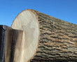 Blade of log splitter ready to slice through a block of hardwood