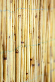 Fototapeta Sypialnia - A Beautiful reed fence wall on pyrode background