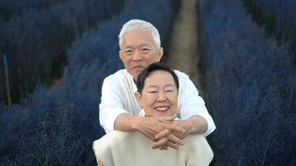 Wall Mural - Asian senior couple hugging dating anniversary at purple flower field together