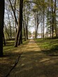 Path from the perspective with deciduous trees on the sides forming alley leading to the pond in the horizon in Lithuania 