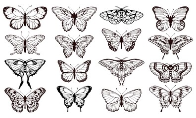 butterfly silhouettes. black outline butterflies tattoo graphic, tropical cute insects. metamorphosi