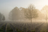Fototapeta Sawanna - The Canadian War Cemetery in Groesbeek