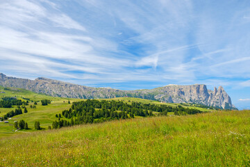 Wall Mural - mountain range in a alp valley