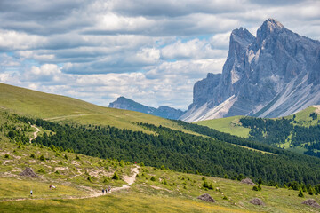 Wall Mural - view of a hiking trail in the alps with mountain peaks
