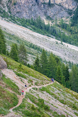 Wall Mural - hikers on a footpath in the alps