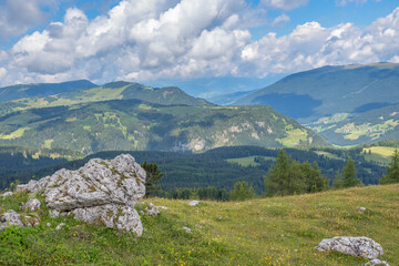 Wall Mural - alp meadow with a beautiful view of a valley